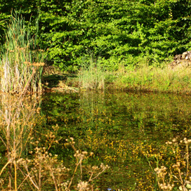 Tiefenbachgewässer